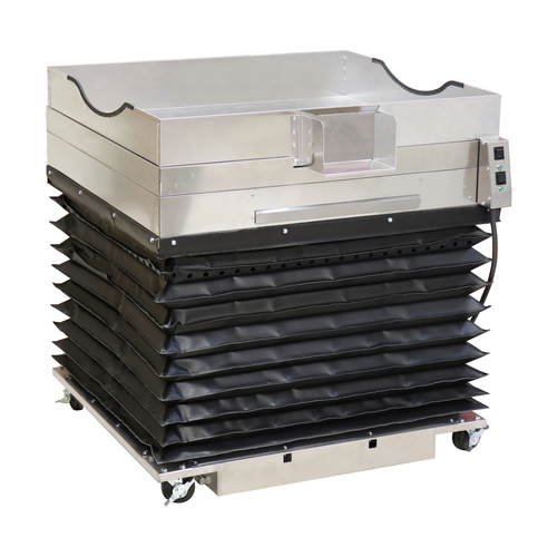 Gold Medal - 2169-00-100