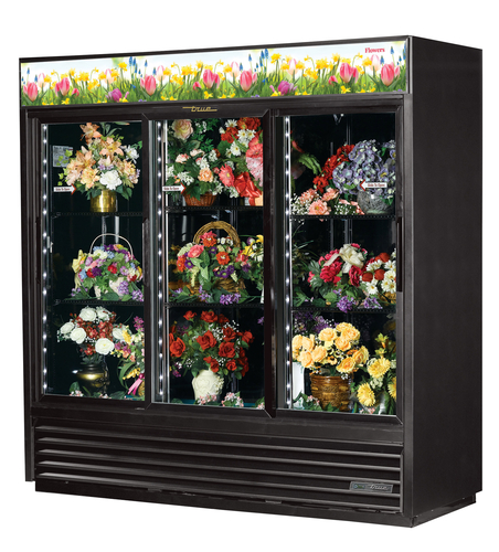 True Mfg. - General Foodservice - GDM-69FC-HC-LD