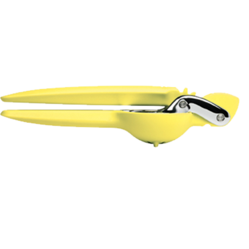 Taylor Precision - 102-159-017