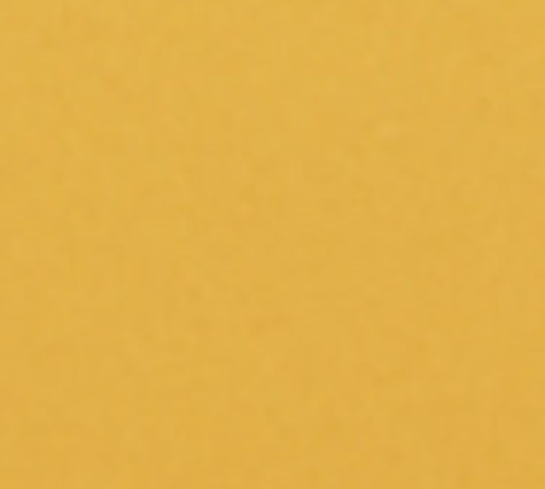 Camtray® Dietary Tray 2