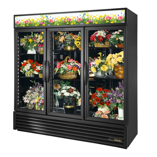 True Mfg. - General Foodservice - GDM-72FC-HC~TSL01